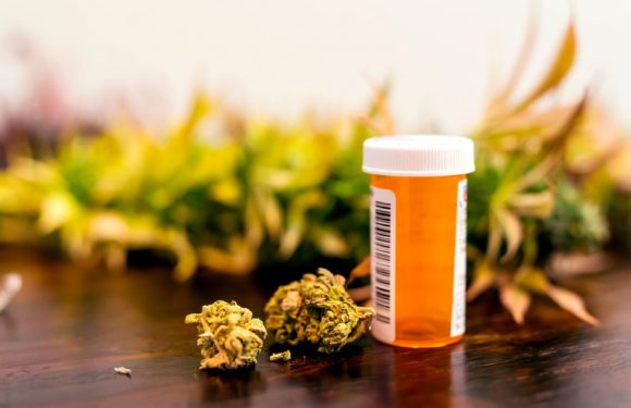 How To Find A Reliable Medical Marijuana Dispensary?