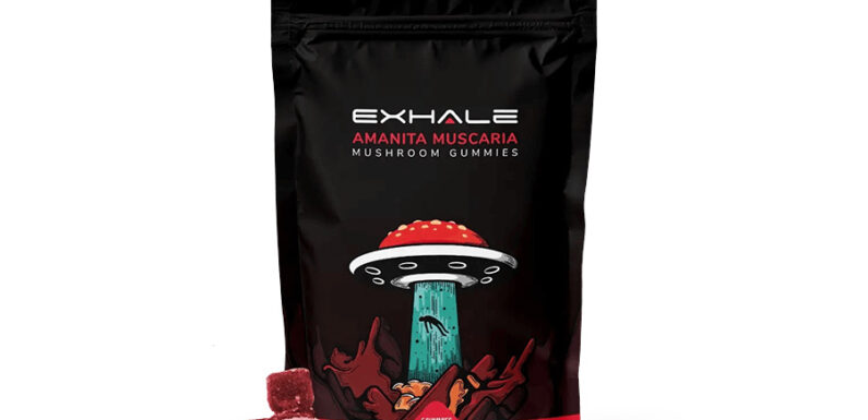 Tips for Shopping for Amanita Muscaria Gummies