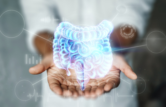 Are Gut Microbiome Health Tests Worthwhile? What Are They?