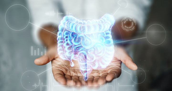 Are Gut Microbiome Health Tests Worthwhile? What Are They?