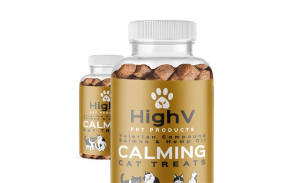 Debunking the Fundamental Myths About Pet CBD