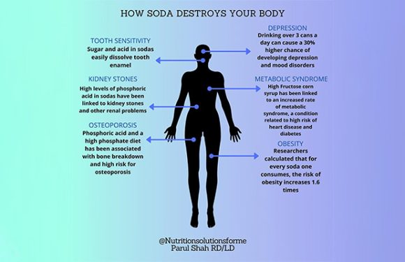 The Connection Between Gut Health and Overall Wellness