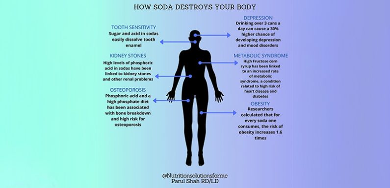 The Connection Between Gut Health and Overall Wellness