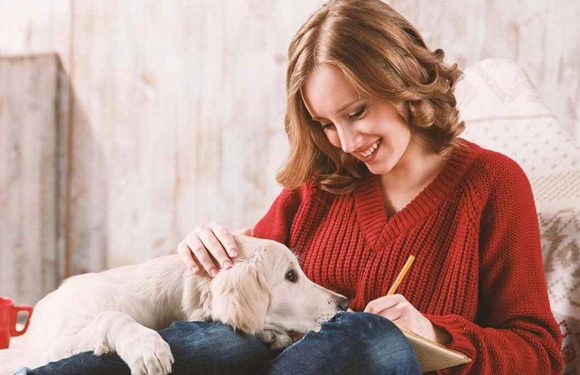 Make Your Lifer Stress Free with Your Pet