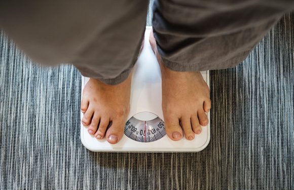BMI Monitoring – Why Is It That Important?